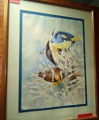 image of TROPICAL FISH