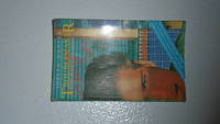 image of Troublemaker: A Dave Brandstetter mystery