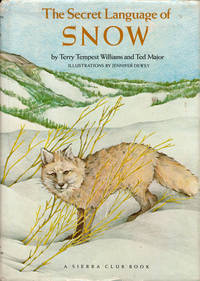 The Secret Language of Snow