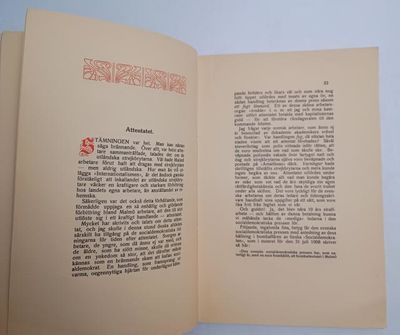 Amalthea. (photo 4)