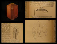 The power of movement in plants by DARWIN, Charles - 1881