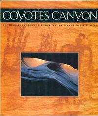 Coyote's Canyon