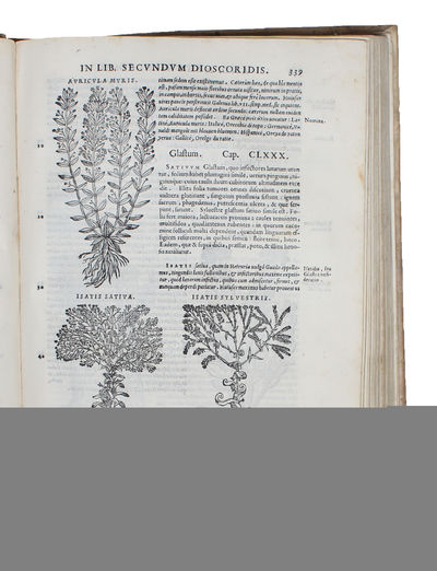 Commentarii secundo aucti in Libros sex Pedacii Dioscoridis Anazarbei de Medica Materia. Adiectis quamplurimis plantarum, & animalium imaginibus, quæ in priore editione non habentur, eodem auctore. Hic accessit eivsdem Apologia Adversus Amathum Lusita... - [AN ENCYCLOPAEDIA OF RENAISSANCE PHARMACOLOGY] (photo 3)