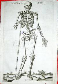 Anatomia del corpo humano nuovamente ristampata e con l