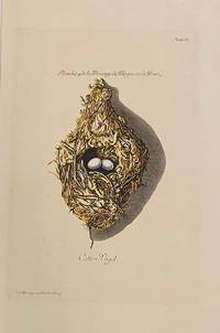 Cotton-Vogel [Cotton-bird]