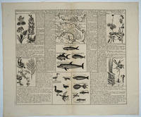 image of Description De L'Isthme De Darien Des Proprietez Du Pais Et De La Ville De Panama; A La Quelle On A Joint Une Description Curieuse Des Diverses Plantes, Oiseaux, Poissons Les Plus Rares Qui Se Trouvent Dans La Nouvelle Hollande. / Carte De L'Isthme De Darien Et Du Golfe De Panama