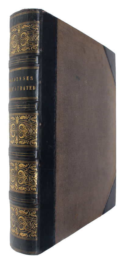 The Waldenses, or Protestant Valleys of Piedmont and Dauphiny Illustrated in a series of views, by Brockedon & Bartlett. (photo 5)