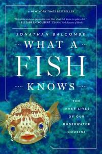 What a Fish Knows : The Inner Lives of Our Underwater Cousins