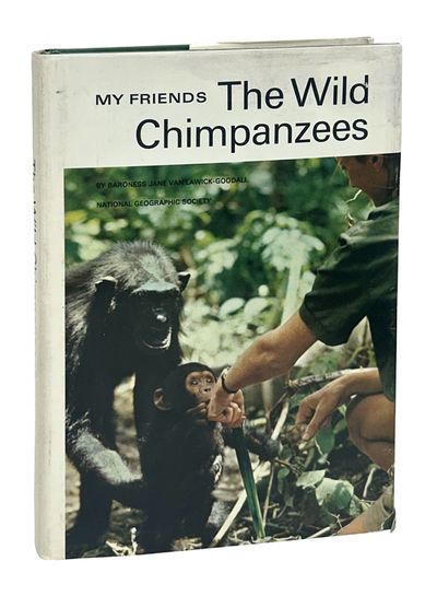 My Friends, the Wild Chimpanzees