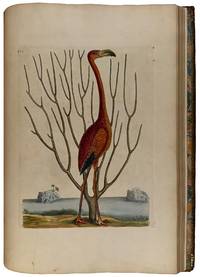 The Natural History of Carolina, Florida, and the Bahama Islands: containing the figures of birds, beasts, fishes, serpents, insects, and plants; particularly, those not hitherto described, or incorrectly figured by former authors, with their descriptions in English and French