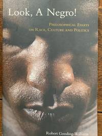 Look, a Negro!: Philosophical Essays on Race, Culture, and Politics