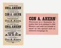 Broadside and Handbill for a Nevada State Senate Campaign