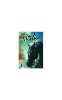image of The Black Stallion (Black Stallion (Paperback))