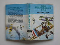 image of The unfeeling sky
