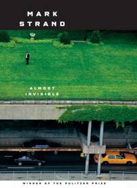 Almost Invisible : Poems