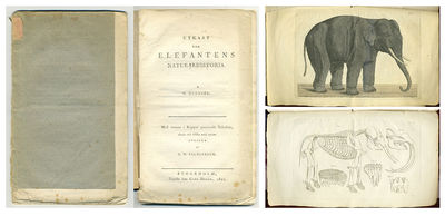 Utkast till elefantens naturalhistoria. Med…