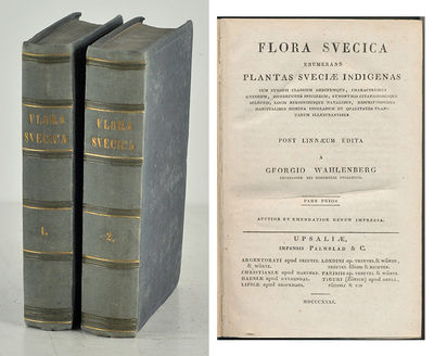 Flora svecica enumerans plantas sveciæ indigenas…