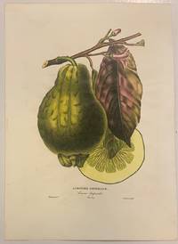 Limonier Imperiale