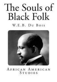 image of The Souls of Black Folk (African-American Literary Classics)