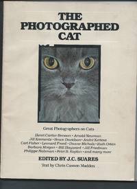 The Photographed Cat