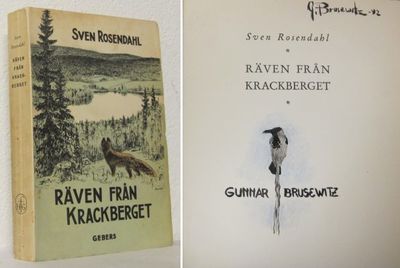 Räven från Krackberget.