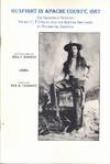 Gunfight in Apache County, 1887: The Shootout Between Sheriff C.P. Owens and the Blevins Brothers in Holbrook, Arizona