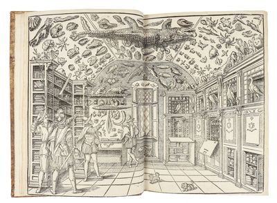 Dell'Historia Natvrale di Ferrante Imperato Napoletano Libri XXVIII: nella qvale ordinatamente si tratta della diuersa condition di miniere e pietre: con alcune historie di piante & animali, sin'hora non date in luce