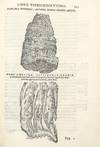 Dell'Historia Natvrale di Ferrante...; (photo 11)