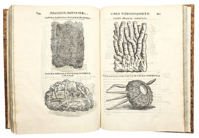 Dell'Historia Natvrale di Ferrante...; (photo 2)