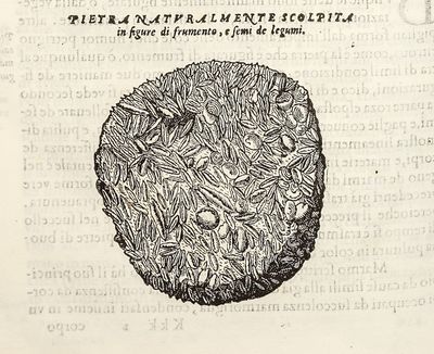 Dell'Historia Natvrale di Ferrante...; (photo 22)