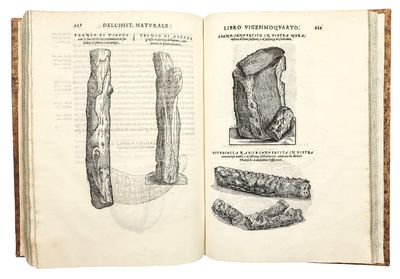 Dell'Historia Natvrale di Ferrante...; (photo 7)
