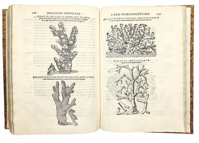 Dell'Historia Natvrale di Ferrante...; (photo 9)