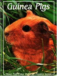 Guinea Pigs.