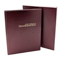 Mary Shelley's Frankenstein: The Classic Tale of Terror Reborn on Film