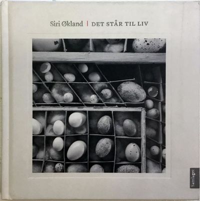 Det står til liv. Kortprosa og foto