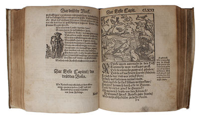 Reyneke Voss de olde nye gedrucket, mit sidlykem vorstande unde schonen Figuren erlúchtet undt vorbetert. (photo 5)