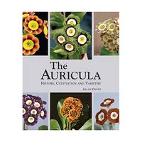 The Auricula: History, Cultivation and Varieties