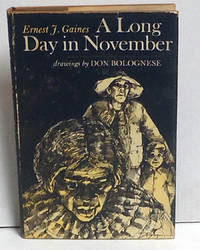 A Long Day in November