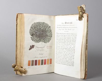 Svenska lafvarnas färghistoria, eller sättet att…