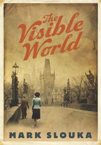cover of The Visible World