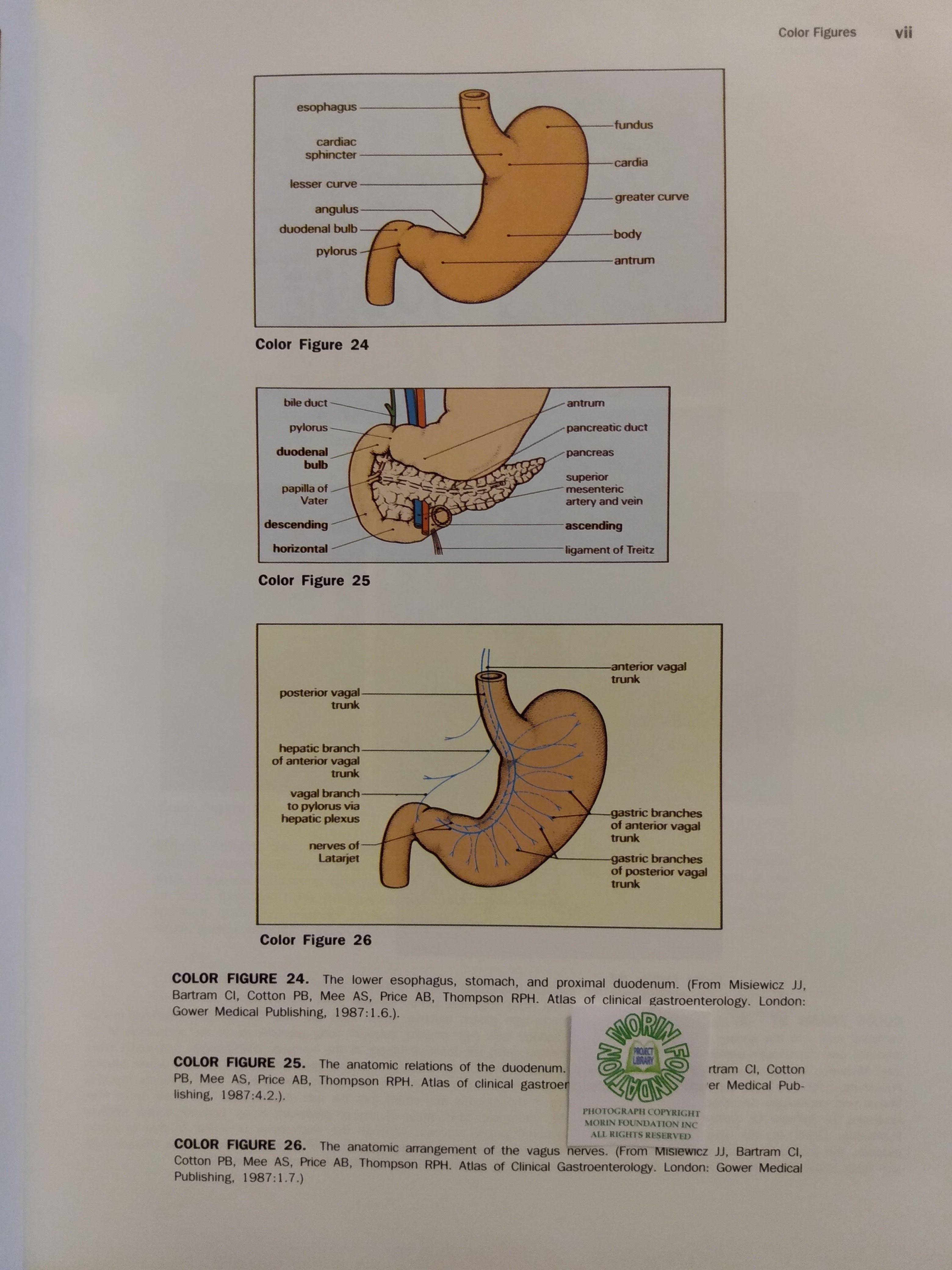 Textbook of Gastroenterology by Yamada, Tadataka, David H. Alpers