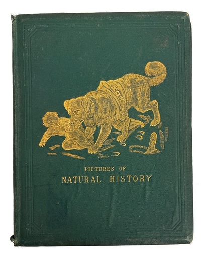 Pictures of Natural History
