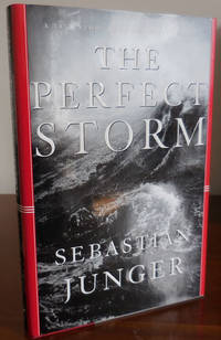 image of The Perfect Storm