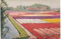 cover of A. J. Van Engelen Tulip Bulbs Vintage Advertising Card from Holland to the USA