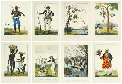 Narrative of a Five Year's Expedition Against the Revolted Negroes of Surinam