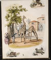 Jardin Des Plantes en Estampes, Le