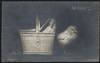 REAL PHOTO POSTCARD WITH CHICKS ESCAPING BASKET