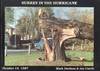 Surrey in the Hurricane: Great Storm of October 16th 1987 1987 (Great Storm of 1987 in Southern England)