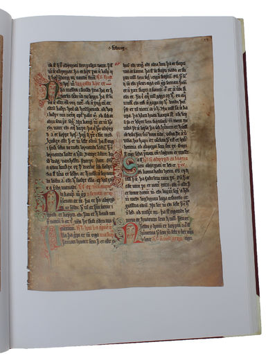 Codex Scardensis AM 350 Folio. Jónas Kristjánsson, Olafur Halldórsson, Sigurdur Lindal rituda Formála. (photo 3)