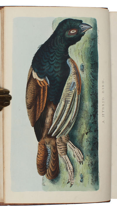 The Natural History of Selborne, new edition, with engravings. 2 vols. (photo 2)